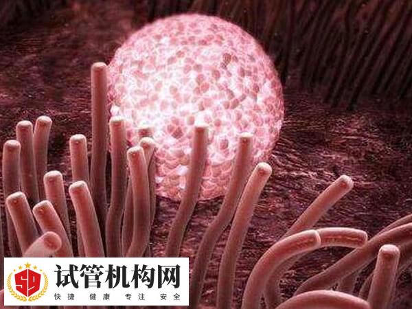 孕酮过高会影响胚胎着床