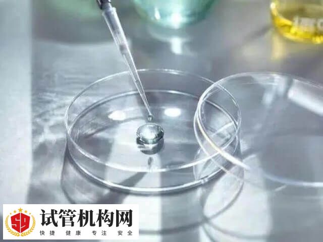 一代试管婴儿成功率约为45%-55%不等