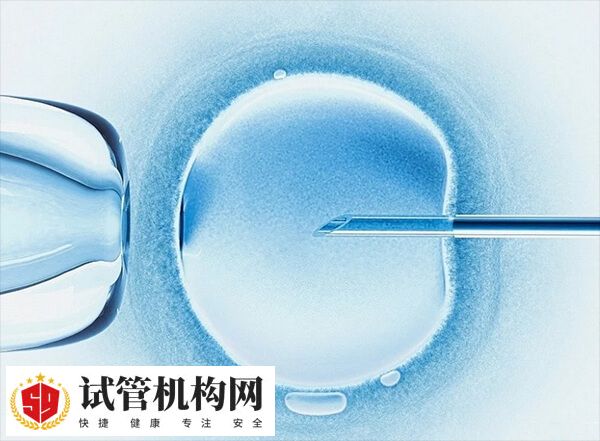 试管不能进行胎儿的性别选择