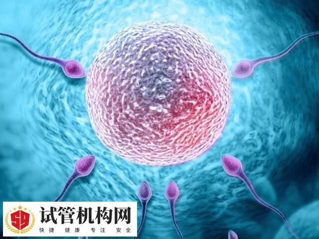 排卵障碍是一种常见的妇科疾病