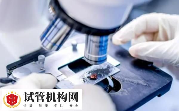 适当卧床能促进胚胎着床