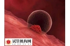 内膜3.1mm可不可以做试管婴儿